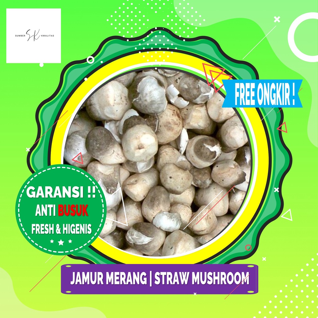 

Sumber Kwalitas - Jamur Merang | Straw Mushroom 150 gram
