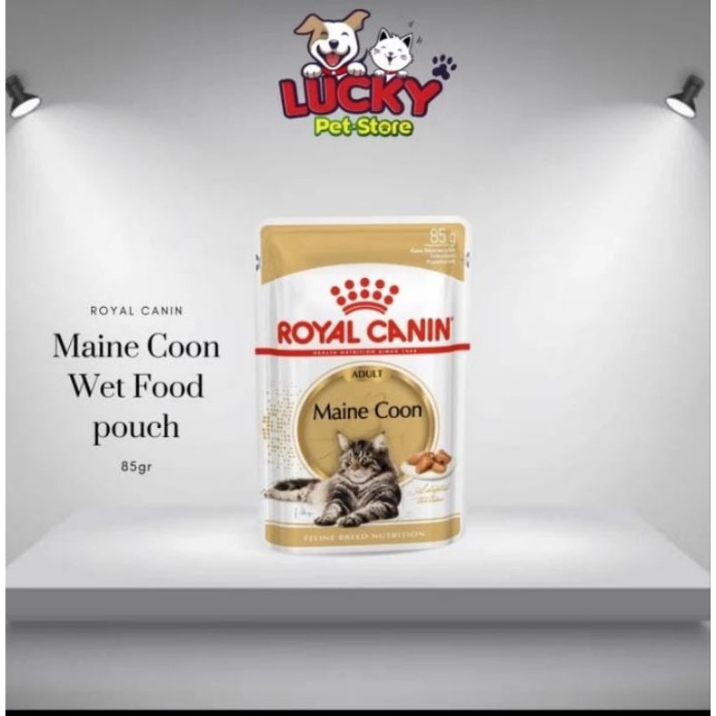 royal canin mainecoon wet food 85gr