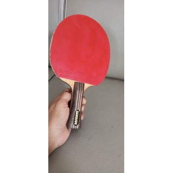 bed pingpong sardius tamca 5000