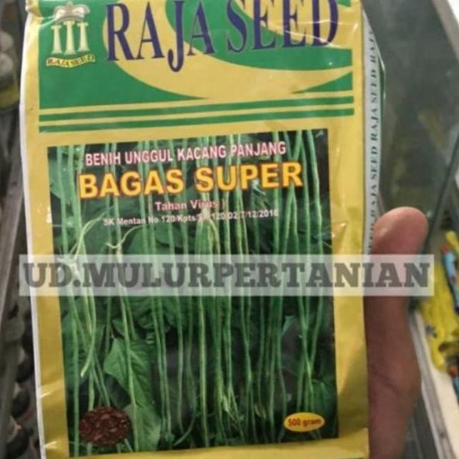 Benih unggul kacang panjang BAGAS SUPER tahan virus dari Raja seed Qink