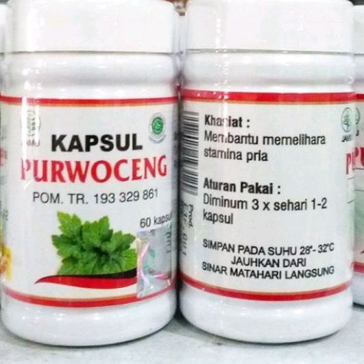 Purwoceng Kapsul Isi 60 kapsul