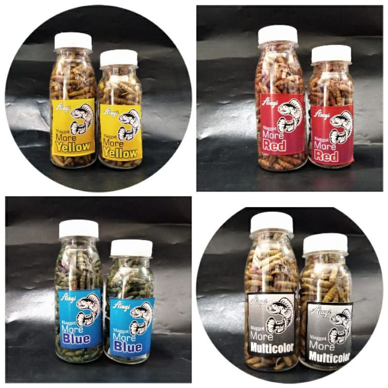 Pelet channa maggot kering carophyll asagi pakan channa YS pulchra asiatica sentarum andrao stewarti