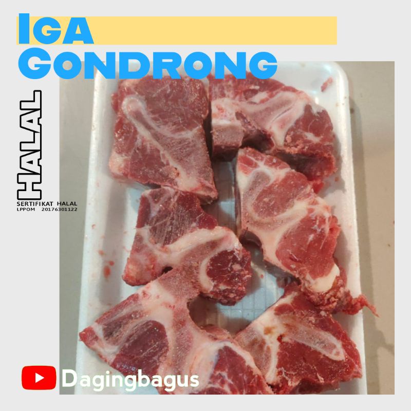 

Iga Gondrong