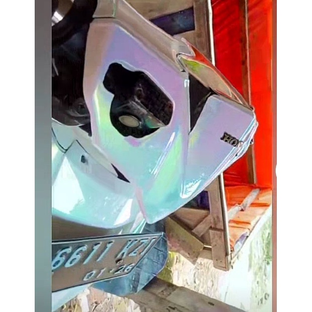 Cat Bunglon Putih Spesial