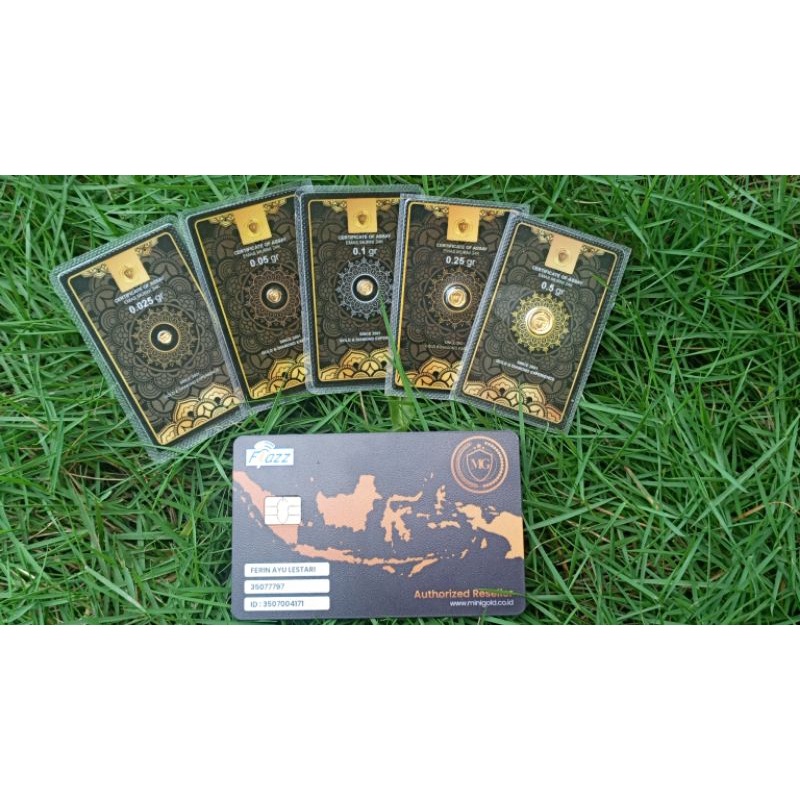 Minigold Black Series