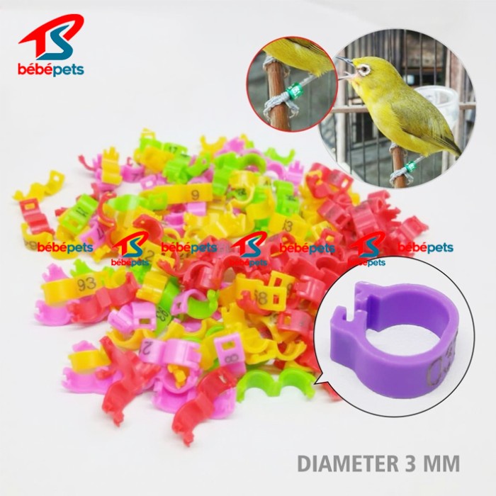 RING JEPIT 2,7 MM 27MM GELANG RING KAKI BURUNG PLECI BLACKTHROAT FINCH