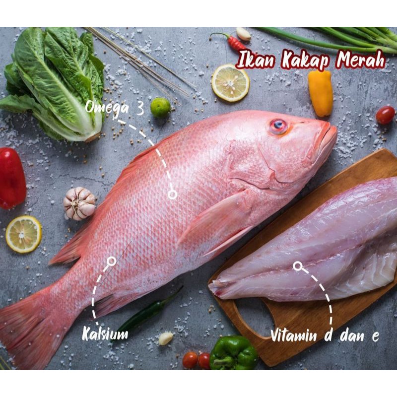 Kakap Merah Segar (1kg)