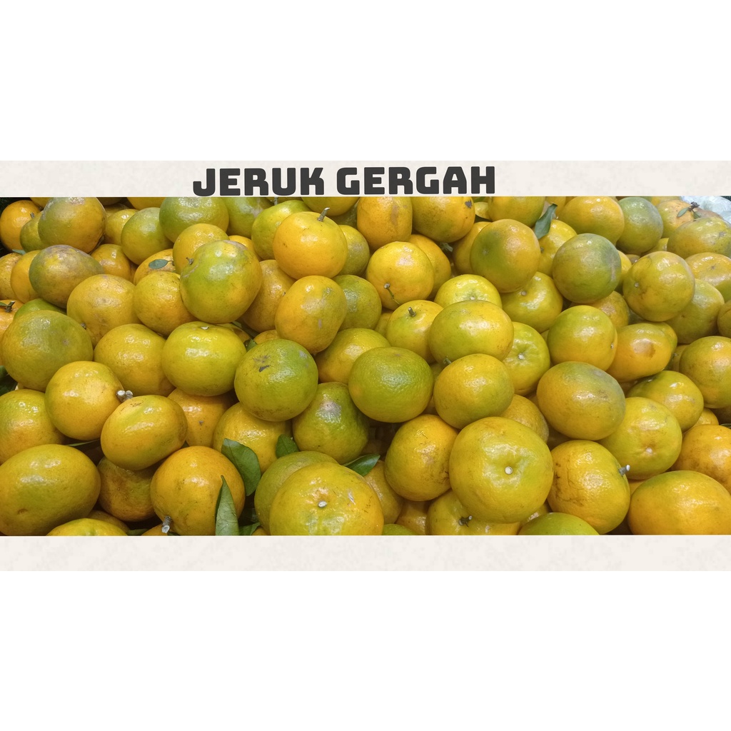 

JERUK GERGAH ASLI JAMBI FRESH