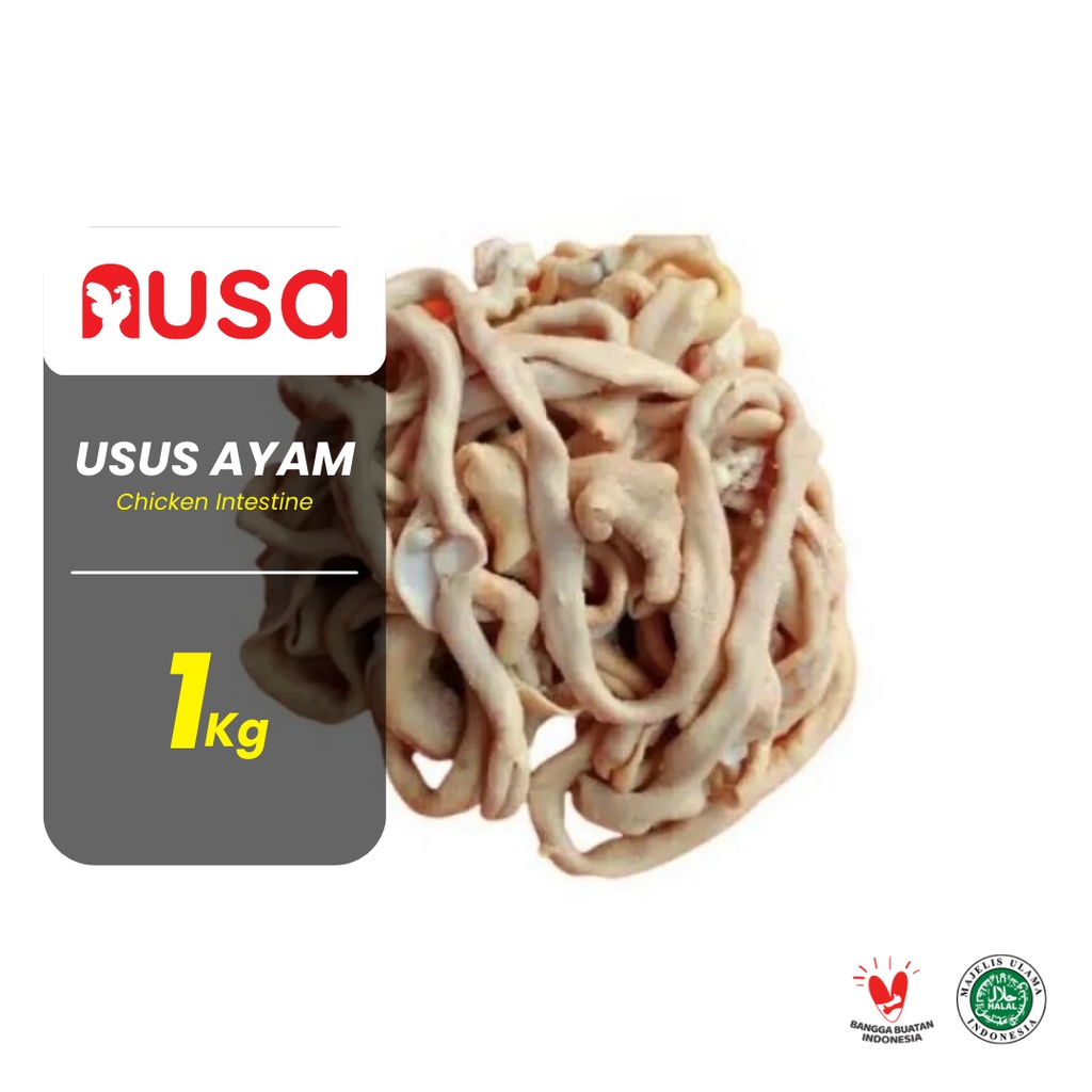 

Usus Ayam