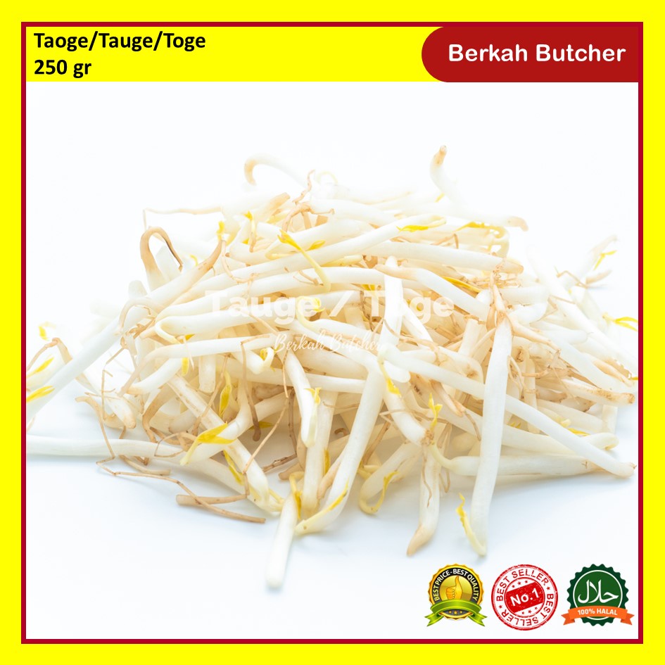 Sayur Toge / Tauge Segar - Berkah Butcher