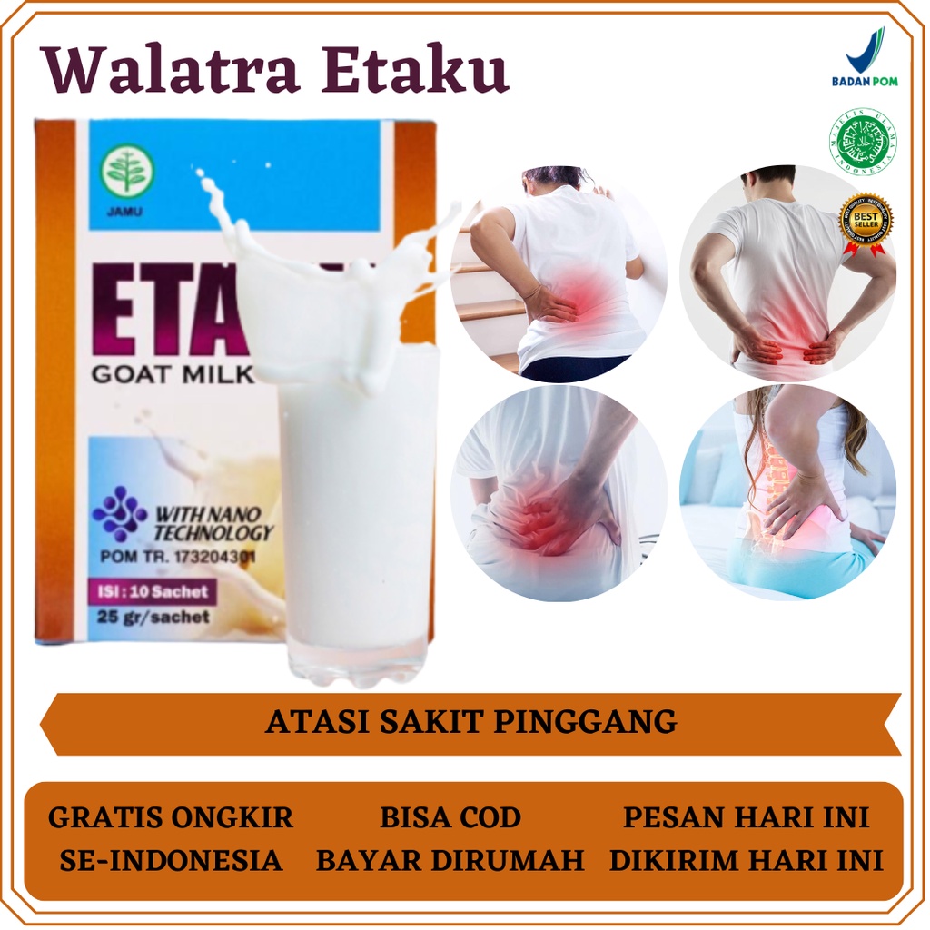 Walatra Etaku, Obat Sakit Pinggang, Obat Sakit Pinggang Belakang, Obat Sakit Pinggang Sebelah, Obat 