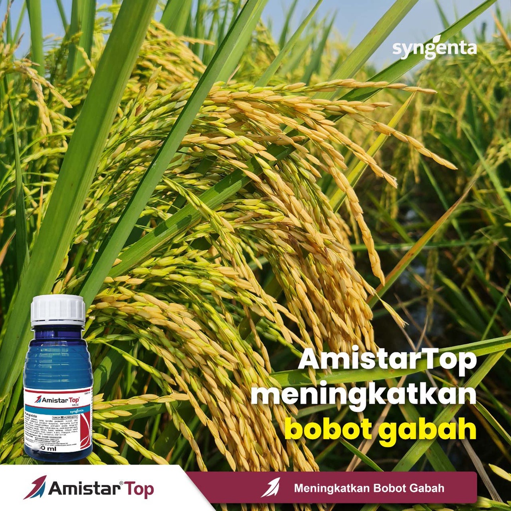 Fungisida Amistar top amistartop 325 SC 50 ml basmi jamur