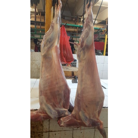 

Kambing Krakas ukuran 10kg