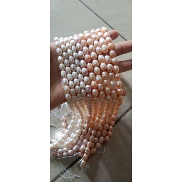 Mutiara Air Tawar Lombok Rentengan