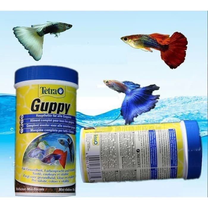 Tetra Guppy Makanan Favorit ikan Gupi dan Ikan Kecil Lainnya
