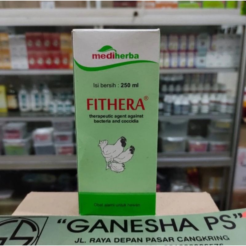 FITHERA 250 ml_ MEDION