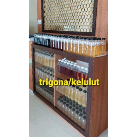 

TRIGONA/KELULUT