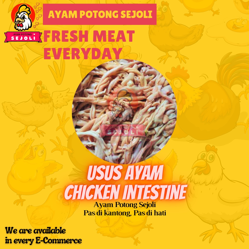 

Usus Ayam Boiler Segar / Chicken Intestine Fresh
