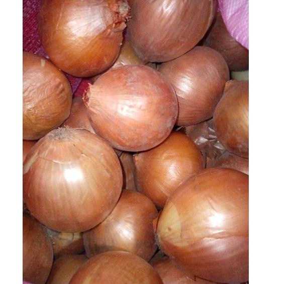 

【Penjualan Terbaik】✅COD BAWANG BOMBAY SEGAR 1KG