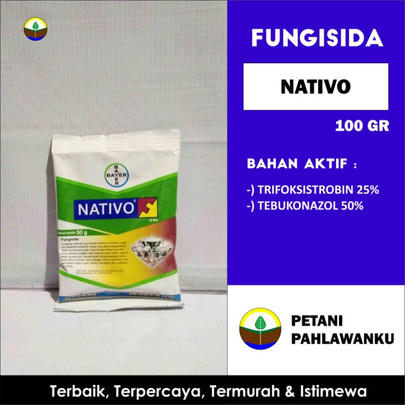 NATIVO 75 WG 100gr ( Fungisida )