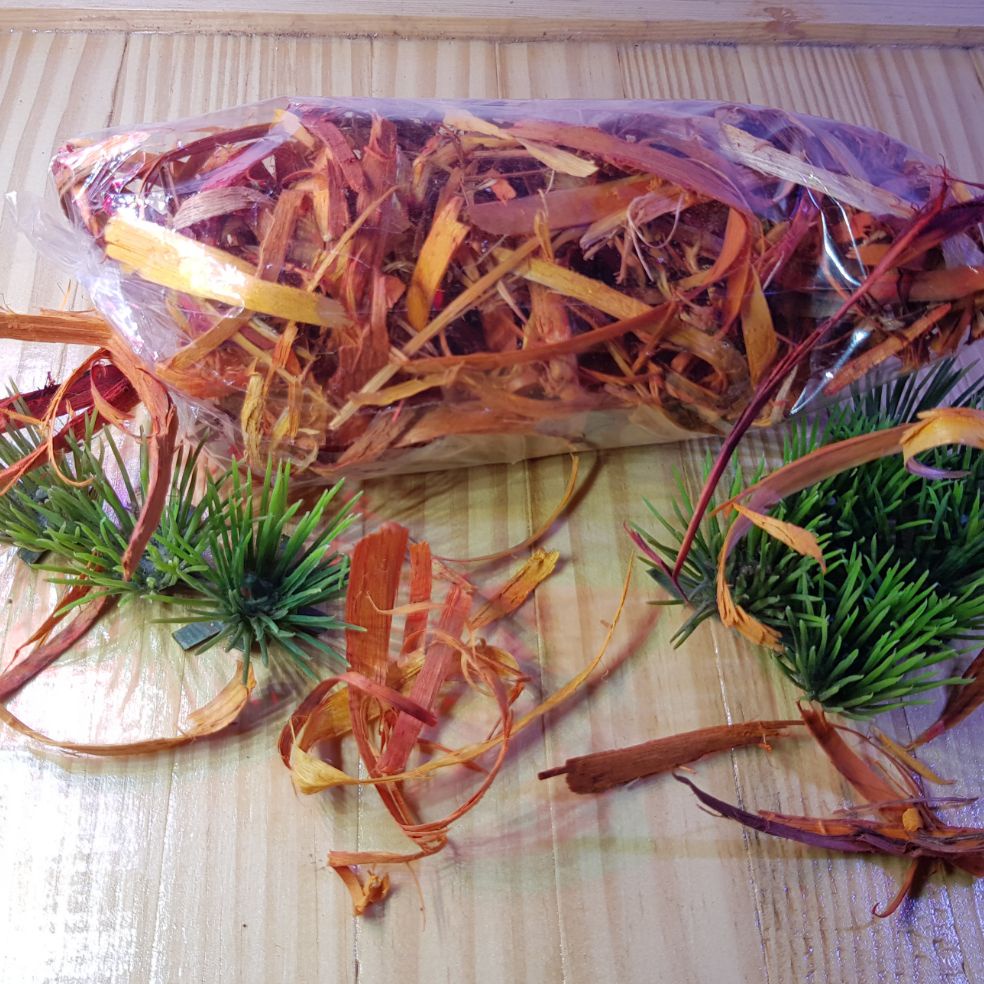 Kayu secang, obat ikan kayu secang, serutan kayu secang, kayu secang obat, obat kayu secang