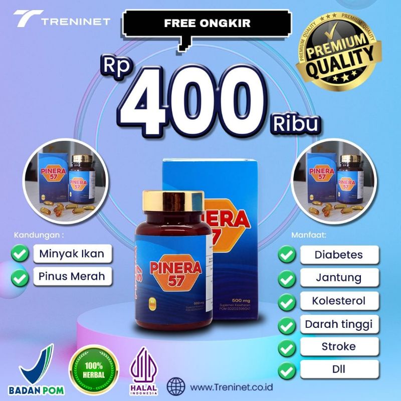 PINERA57 100% original (Pinus merah Korea)