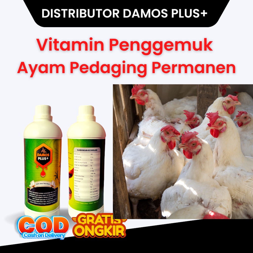 DIstributor Damos Plus+ Obat Ayam Broiler Pedaging Jamu Super Gemuk Molase Tetes Tebu Murni 100% - V