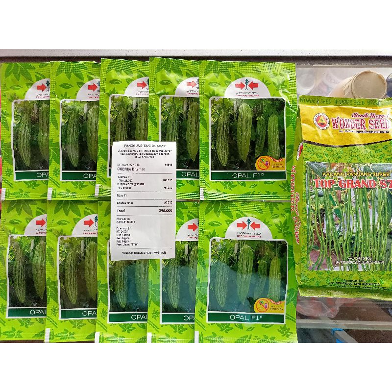 BENIH TOMAT SERVO F1