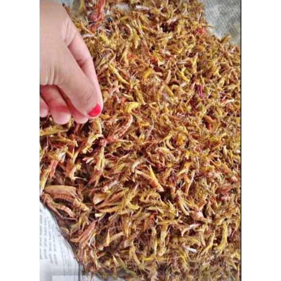 BELALANG GORENG 100GRAM