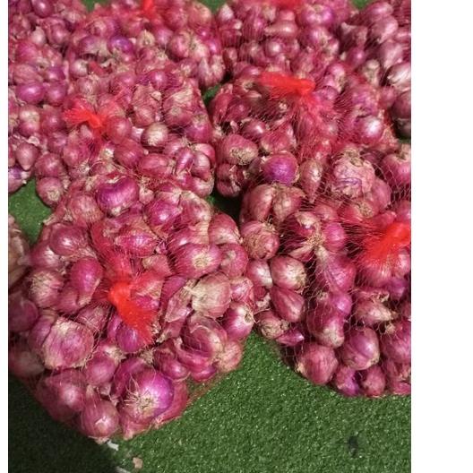

Discount [KF7] bawang merah besar murah 1kg
