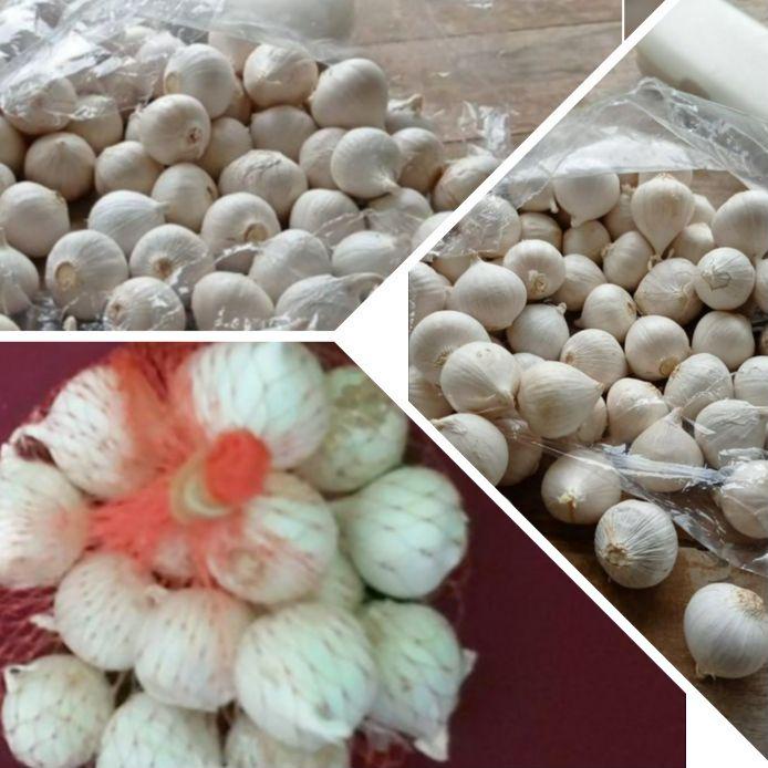 

Sale[FG2]-Bawang Putih Tunggal/Bawang Lanang 1kg