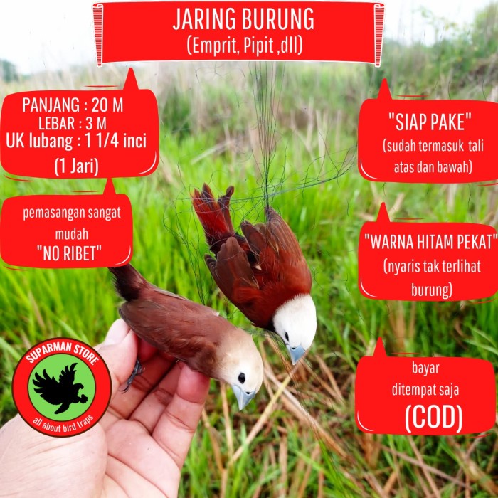 Kandang Burung Jaring Burung Pipit Jaring Burung Emprit Jaring Burung Sawah Kecil
