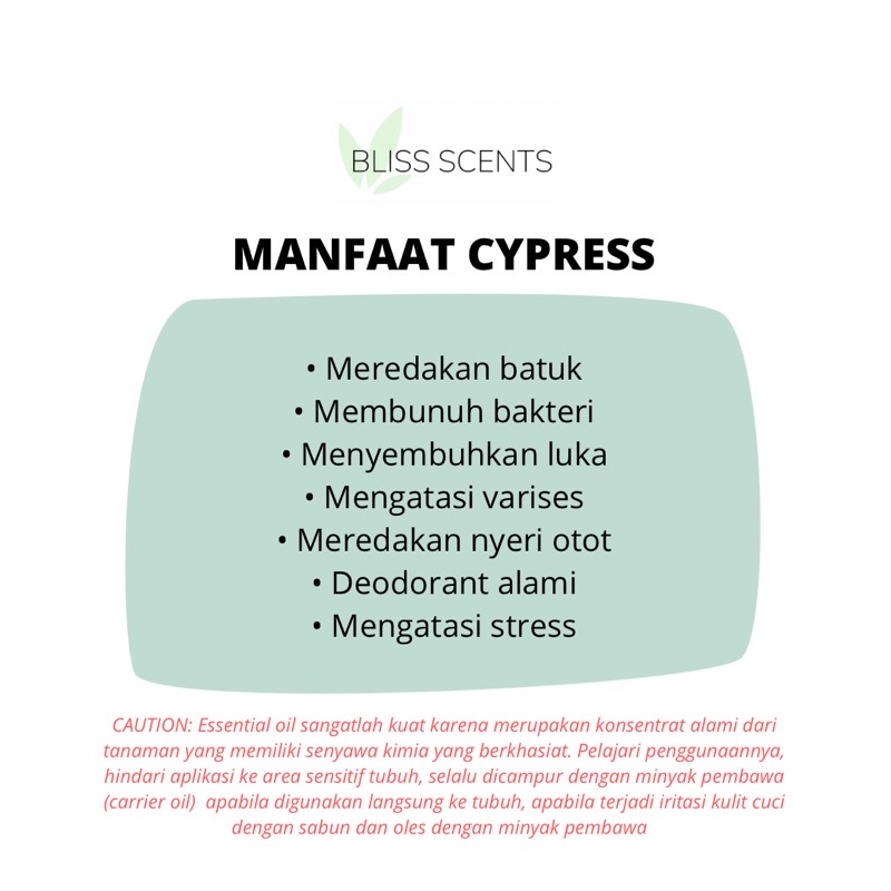 Bliss Cypress / Cemara Essential Oil Aromaterapi 100% Murni Therapeutic Grade Aromatherapy