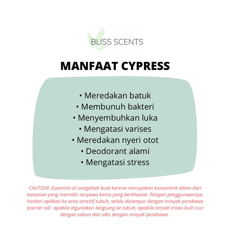 Bliss Cypress / Cemara Essential Oil Aromaterapi 100% Murni Therapeutic Grade Aromatherapy