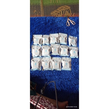 Sabun kojic Plankton