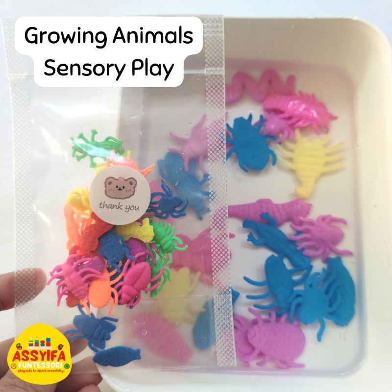 15 gram growing animals sensory play