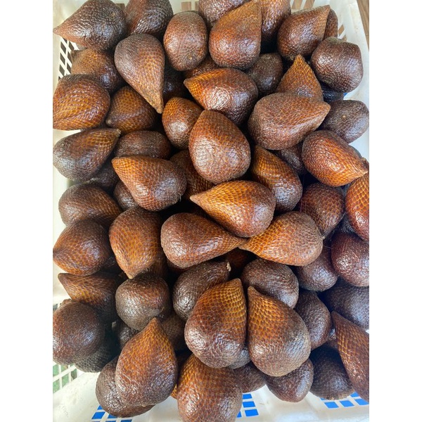 

Salak pondoh