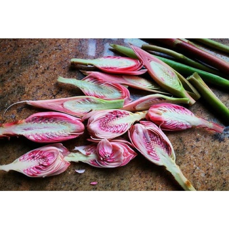 

KECOMBRANG / KINCUNG 1kg