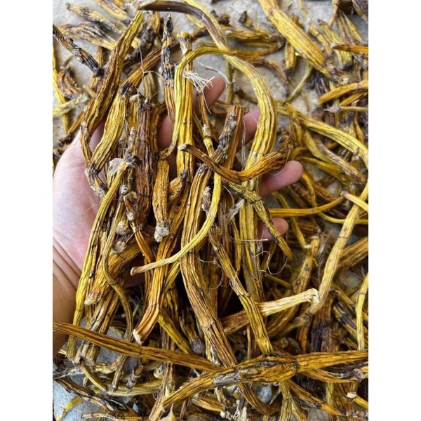 

herbal kanker otak kronis tumor miom kista anggrek merpati organik termurah terlaris
