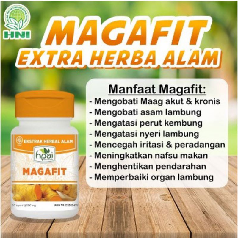Magafit HNI HPAI produk herbal asam lambung