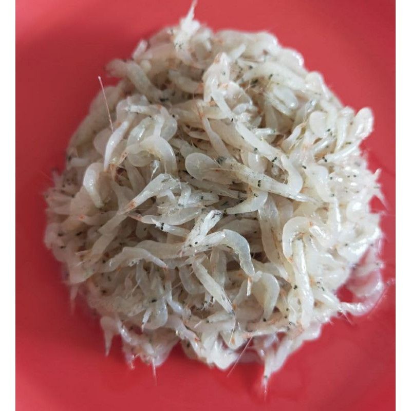 

harga promosi udang rebon basah segar fresh kualitas terjamin