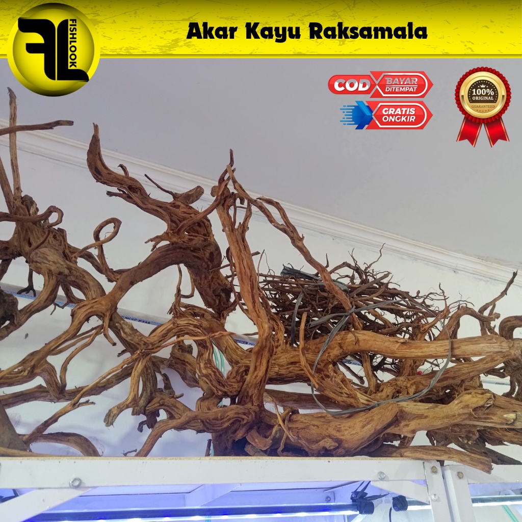 KAYU AKAR RASMALA UNTUK AQUASCAPE SIZE S M L