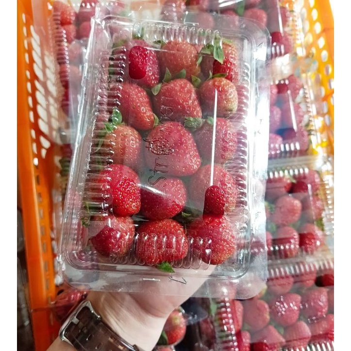 

Juraganbuah Buah Strawberry Organik Lokal Bandung