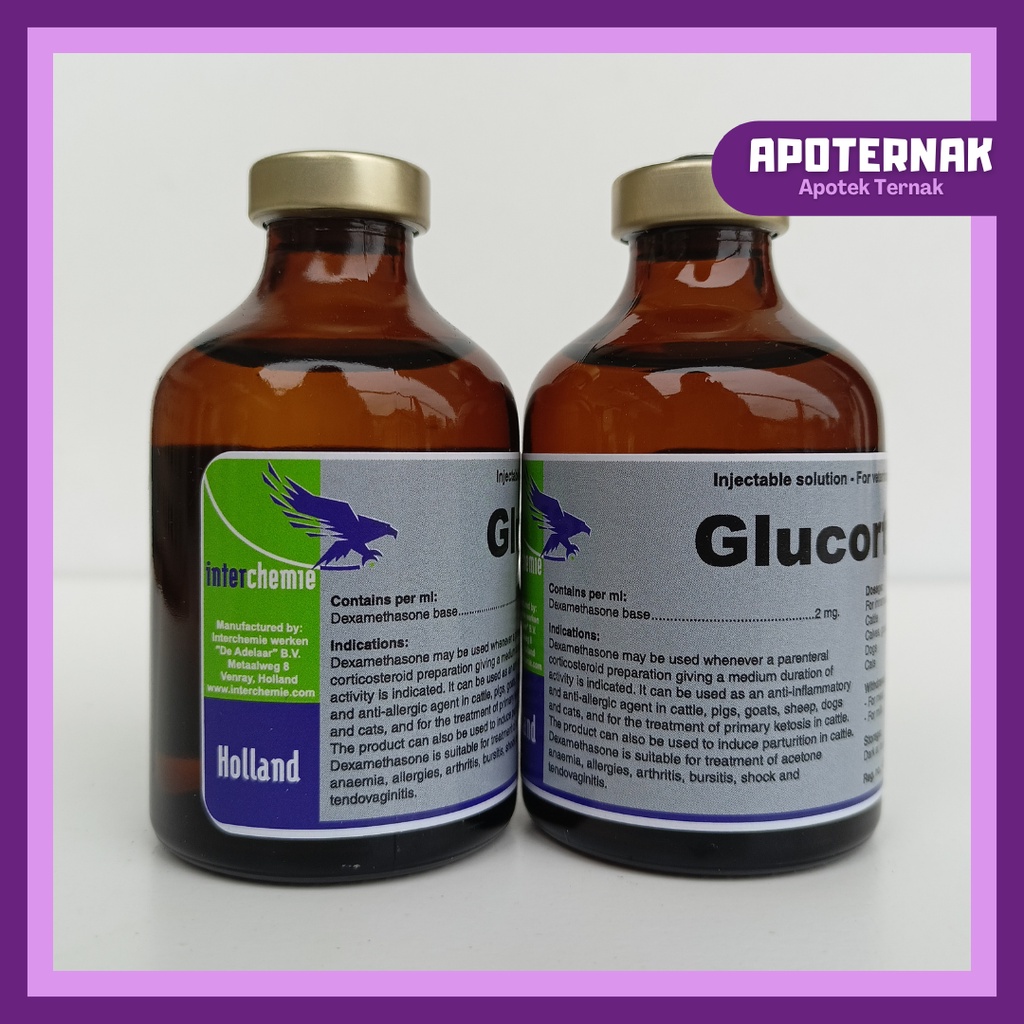 Glucortin 20 | Analgesik, Anti Inflamasi, Anti Piretik, Anti Alergi, Anti Stress Sapi Kambing Domba Anjing Kucing | Dexamethas0ne | TMC