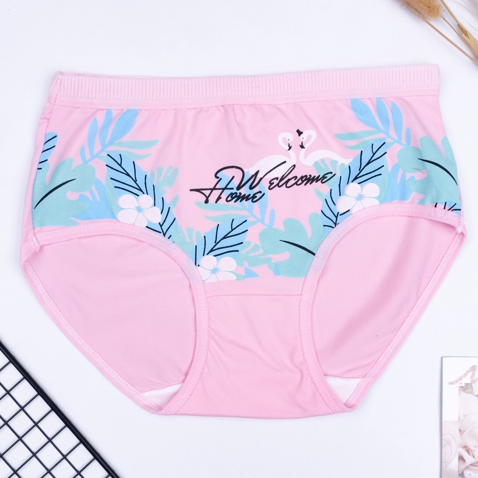 IL - CD imut Jepang fashion Undies Celana Dalam high quality katunimport CD import Flamingo S019