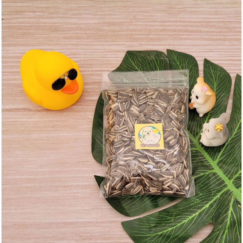 [FREE BONUS]Kuaci Sunflower Seeds Makanan Favorit Hamster/Burung