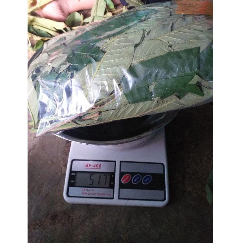 

[Produk 4747] DAUN SUNGKAI 500 gram herbal covid 19 harga pendemi s80jz