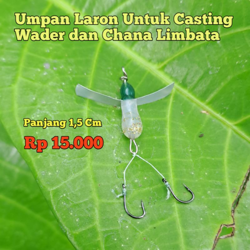 Umpan Laron Untuk Casting Wader, Chana , Limbata