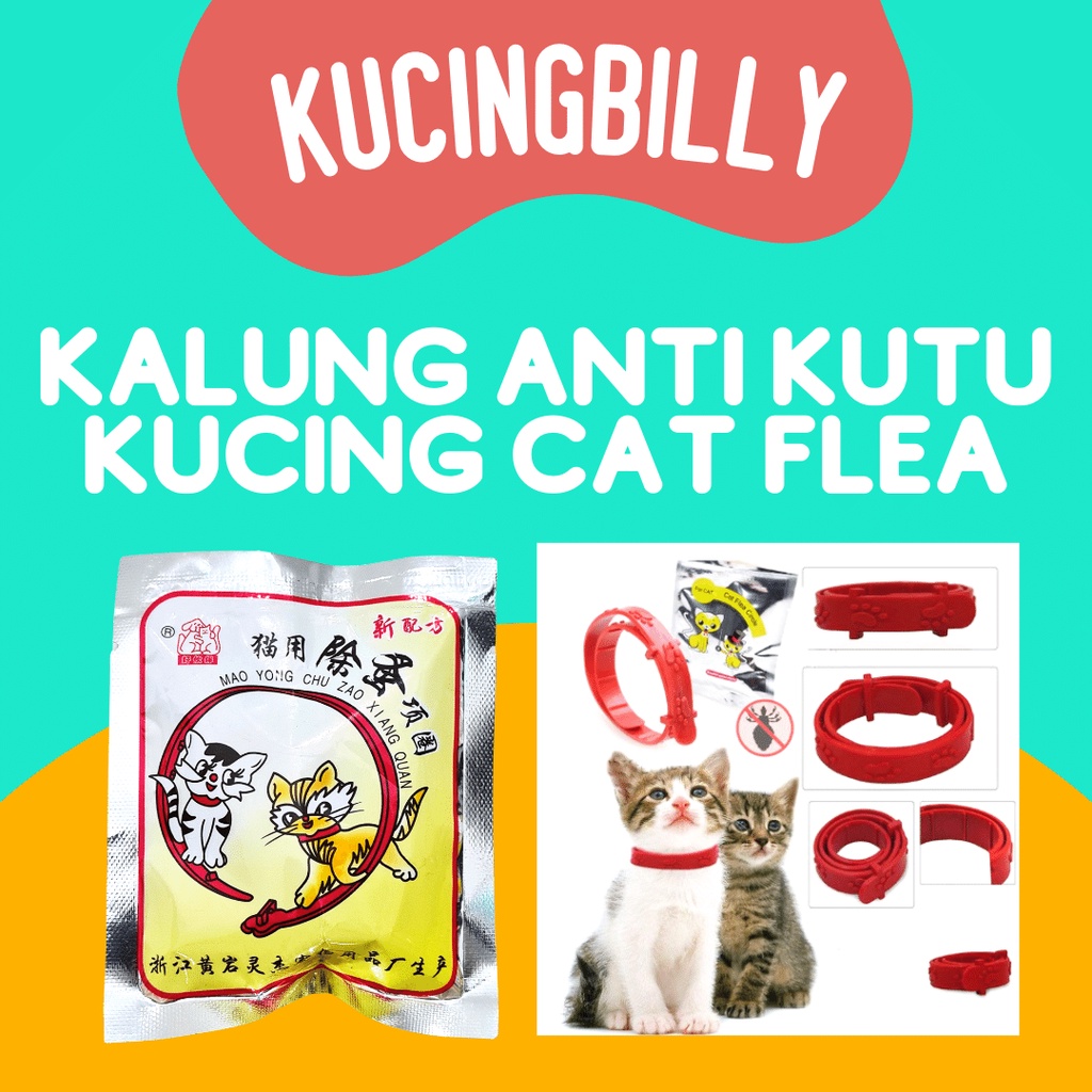 Cat flea circle kalung antikutu kucing