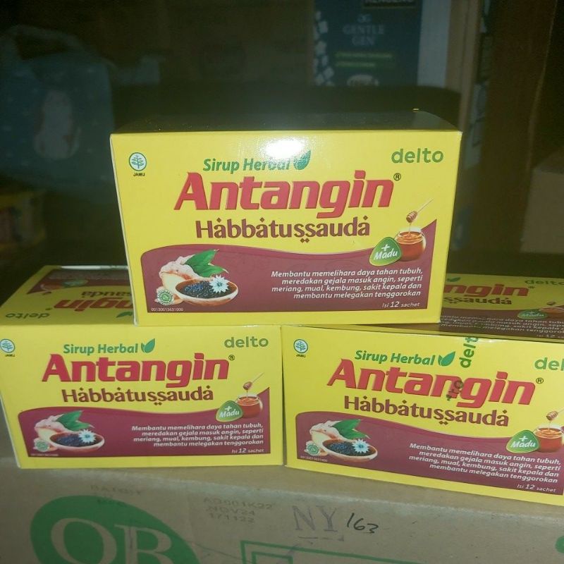 Antangin habbatussauda 1box 12sachet